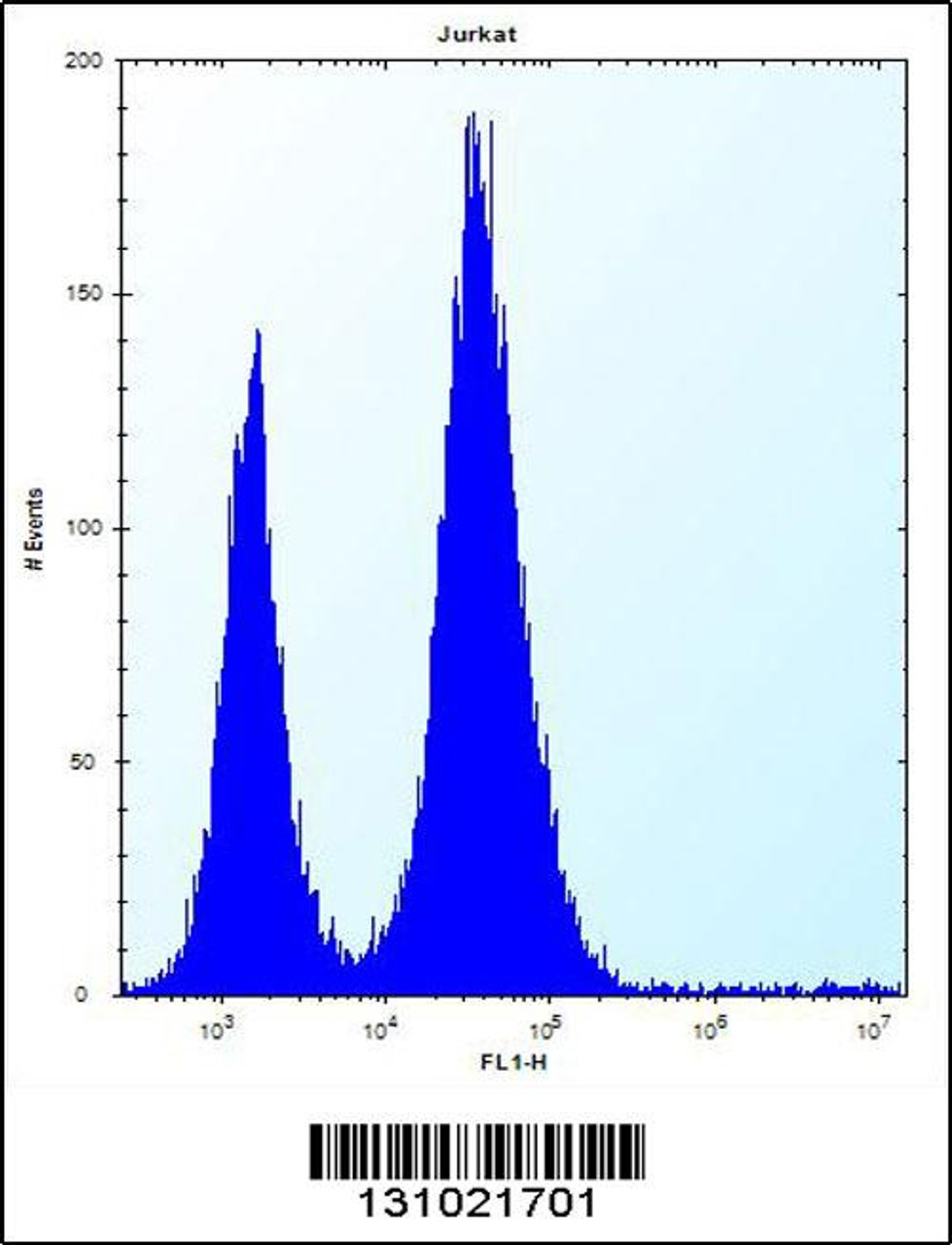 Flow cytometric analysis of Jurkat cells (right histogram) compared to a negative control cell (left histogram) .FITC-conjugated donkey-anti-rabbit secondary antibodies were used for the analysis.