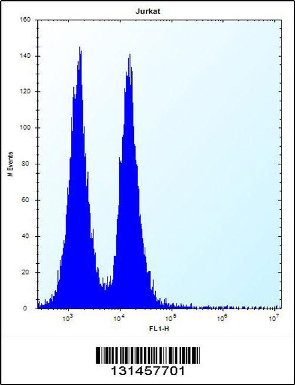 Flow cytometric analysis of Jurkat cells (right histogram) compared to a negative control cell (left histogram) .FITC-conjugated donkey-anti-rabbit secondary antibodies were used for the analysis.