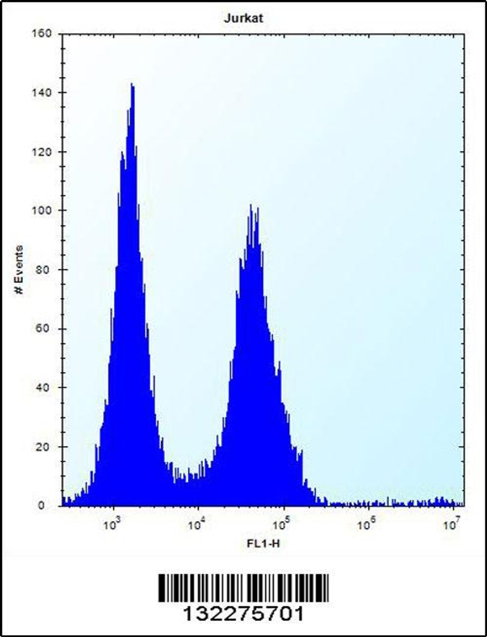 Flow cytometric analysis of Jurkat cells (right histogram) compared to a negative control cell (left histogram) .FITC-conjugated donkey-anti-rabbit secondary antibodies were used for the analysis.