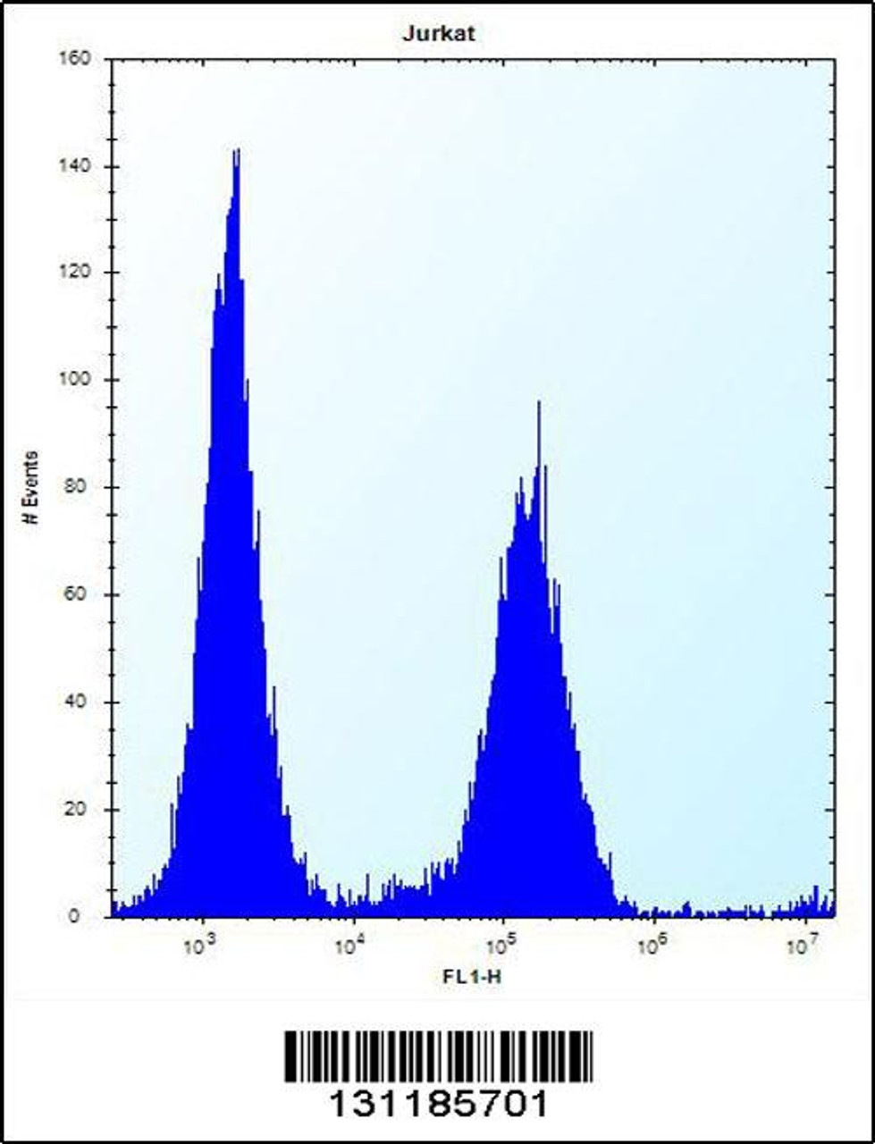 Flow cytometric analysis of Jurkat cells (right histogram) compared to a negative control cell (left histogram) .FITC-conjugated donkey-anti-rabbit secondary antibodies were used for the analysis.