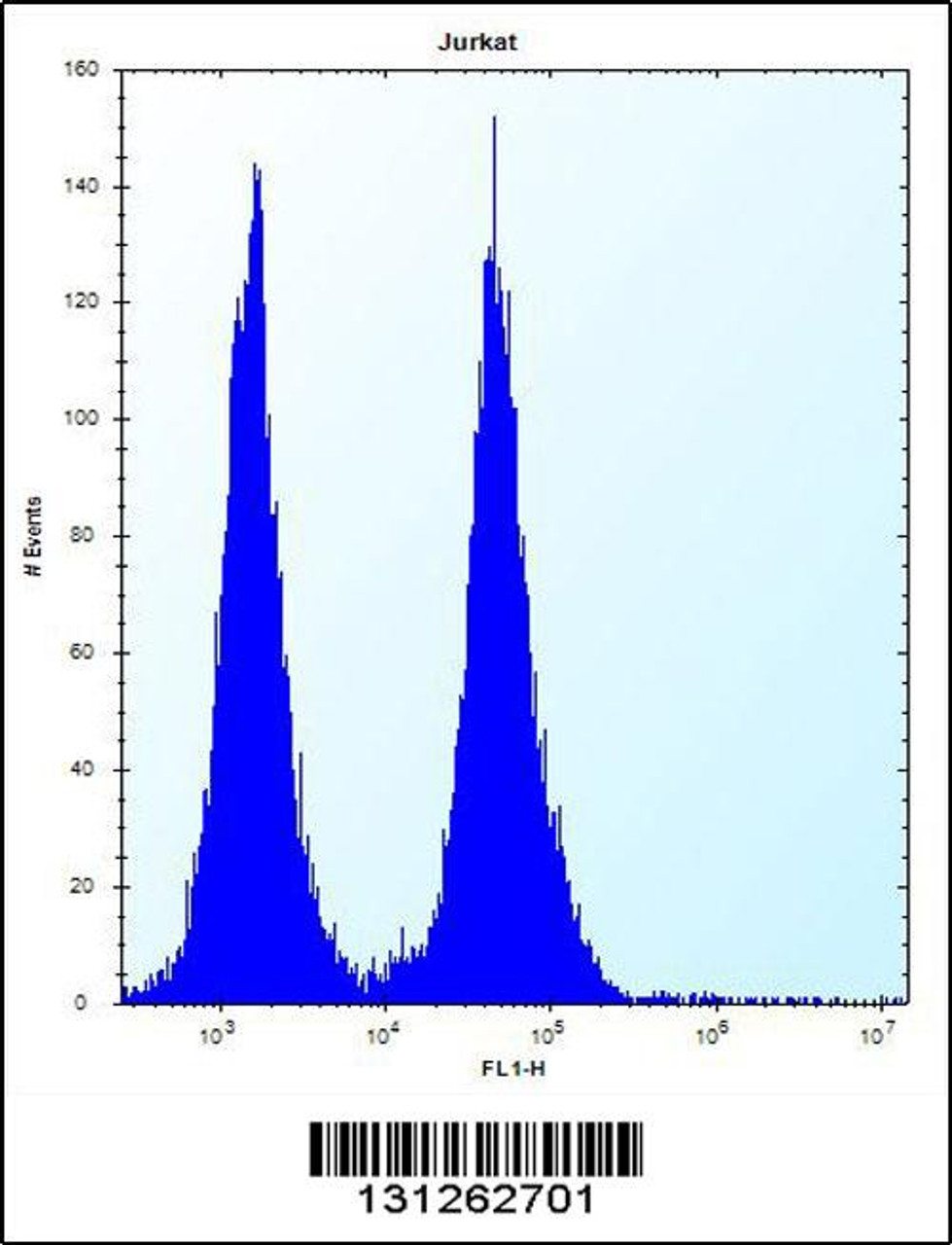 Flow cytometric analysis of Jurkat cells (right histogram) compared to a negative control cell (left histogram) .FITC-conjugated donkey-anti-rabbit secondary antibodies were used for the analysis.