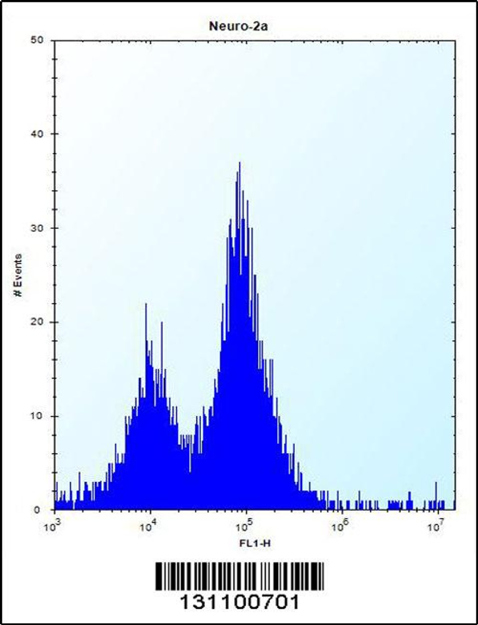 Flow cytometric analysis of Neuro-2a cells (right histogram) compared to a negative control cell (left histogram) .FITC-conjugated donkey-anti-rabbit secondary antibodies were used for the analysis.