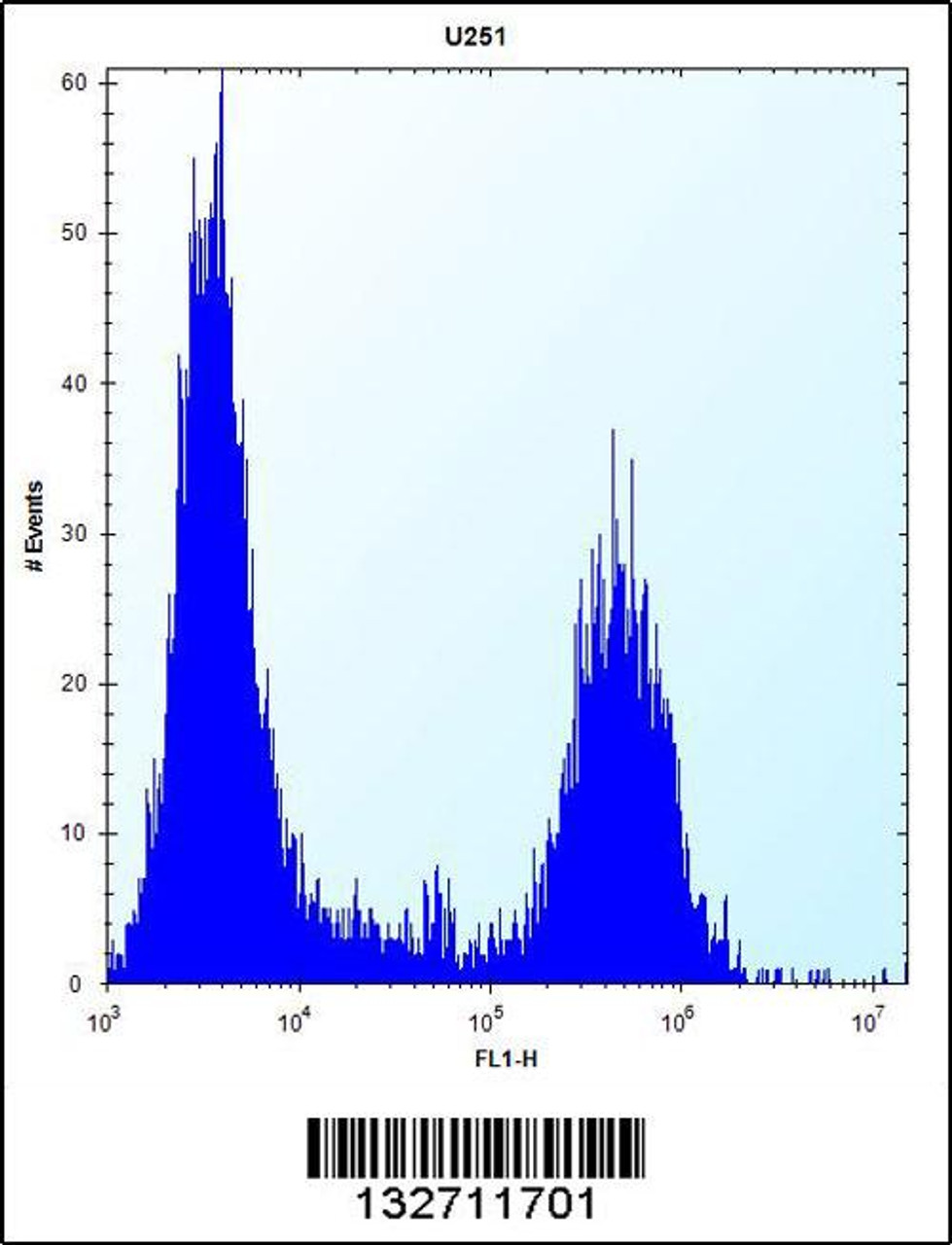 Flow cytometric analysis of U251 cells (right histogram) compared to a negative control cell (left histogram) .FITC-conjugated goat-anti-rabbit secondary antibodies were used for the analysis.