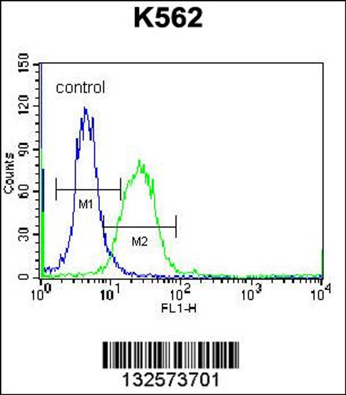 Flow cytometric analysis of K562 cells (right histogram) compared to a negative control cell (left histogram) .FITC-conjugated donkey-anti-rabbit secondary antibodies were used for the analysis.