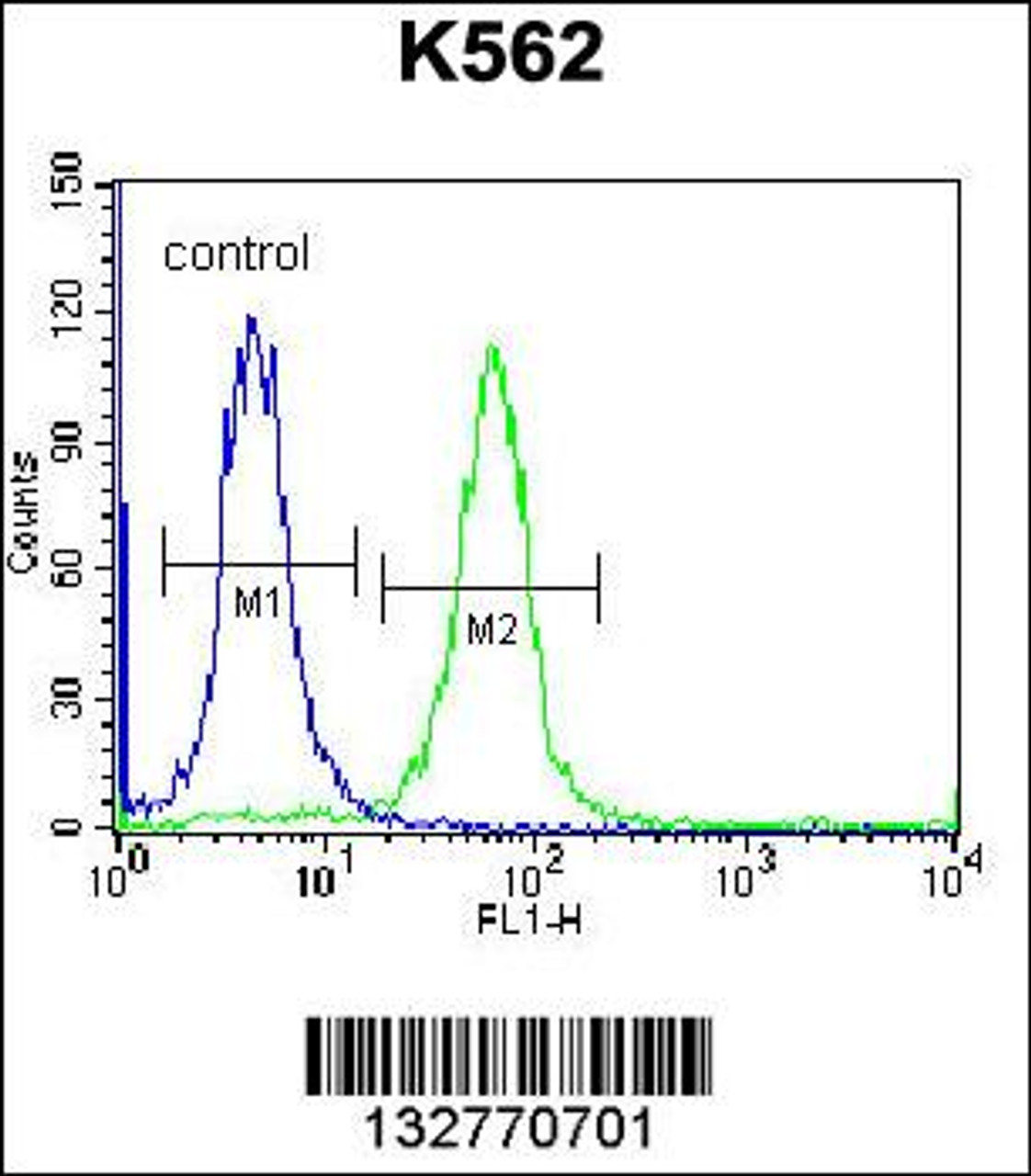 Flow cytometric analysis of K562 cells (right histogram) compared to a negative control cell (left histogram) .FITC-conjugated donkey-anti-rabbit secondary antibodies were used for the analysis.