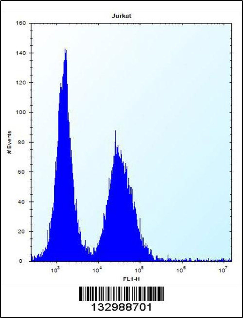 Flow cytometric analysis of Jurkat cells (right histogram) compared to a negative control cell (left histogram) .FITC-conjugated donkey-anti-rabbit secondary antibodies were used for the analysis.