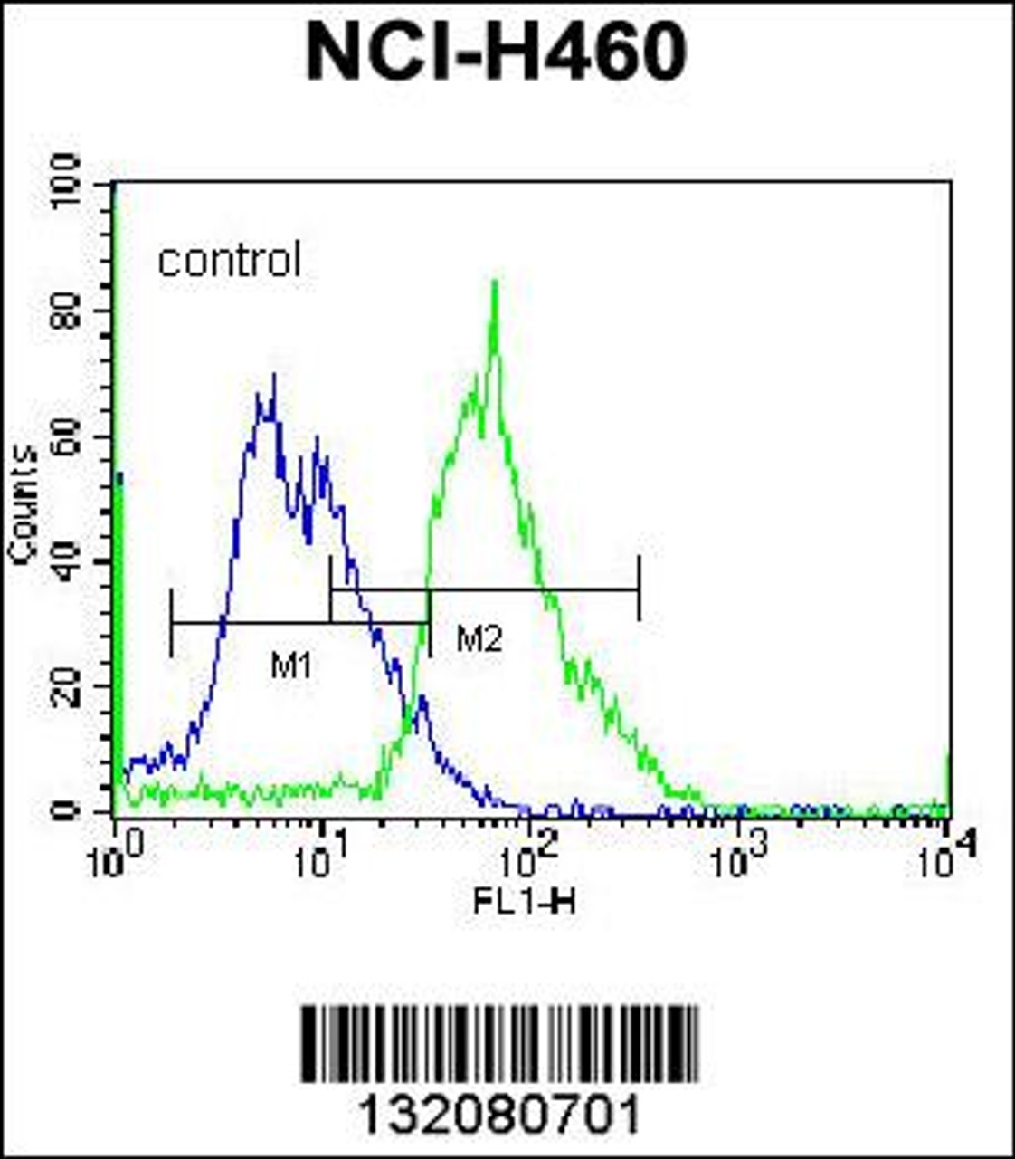 Flow cytometric analysis of NCI-H460 cells (right histogram) compared to a negative control cell (left histogram) .FITC-conjugated donkey-anti-rabbit secondary antibodies were used for the analysis.