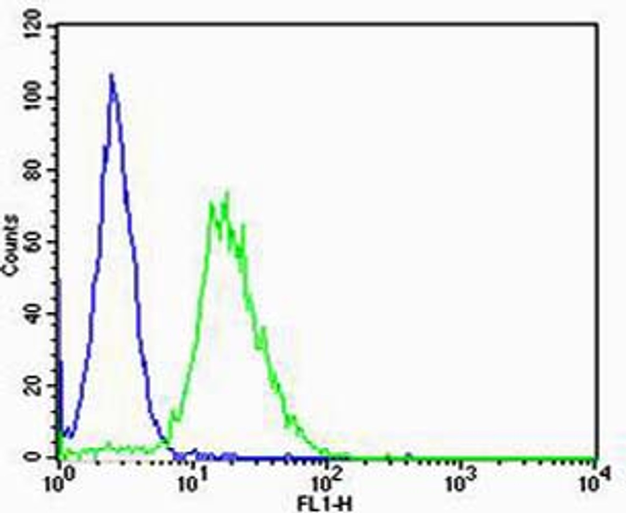 Flow cytometric analysis of NIH/3T3 cells using Mouse Csnk1g3 Antibody (green) compared to an isotype control of rabbit IgG (blue) . Antibody was diluted at 1:25 dilution. An Alexa Fluor 488 goat anti-rabbit lgG at 1:400 dilution was used as the secondary antibody.
