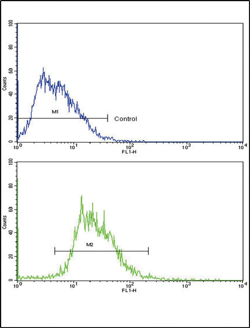 Flow cytometric analysis of HepG2 cells using SOX9 Antibody (bottom histogram) compared to a negative control cell (top histogram) . FITC-conjugated goat-anti-rabbit secondary antibodies were used for the analysis.