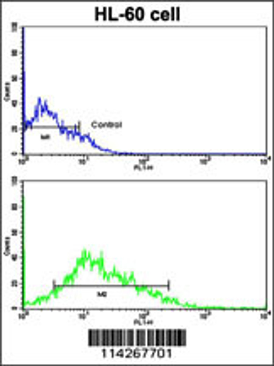 Flow cytometric analysis of HL-60 cells using LIN28B Antibody (bottom histogram) compared to a negative control cell (top histogram) . FITC-conjugated goat-anti-rabbit secondary antibodies were used for the analysis.