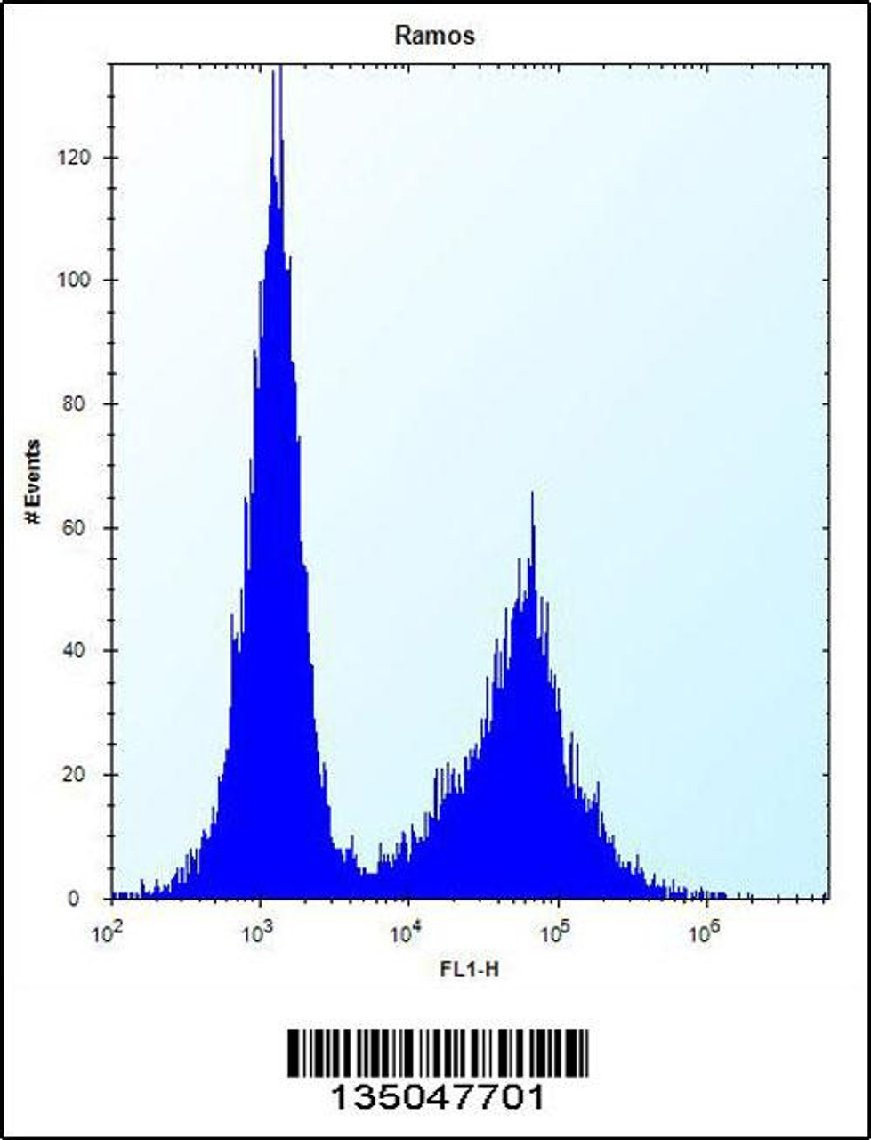 Flow cytometric analysis of Ramos cells (right histogram) compared to a negative control cell (left histogram) .FITC-conjugated donkey-anti-rabbit secondary antibodies were used for the analysis.