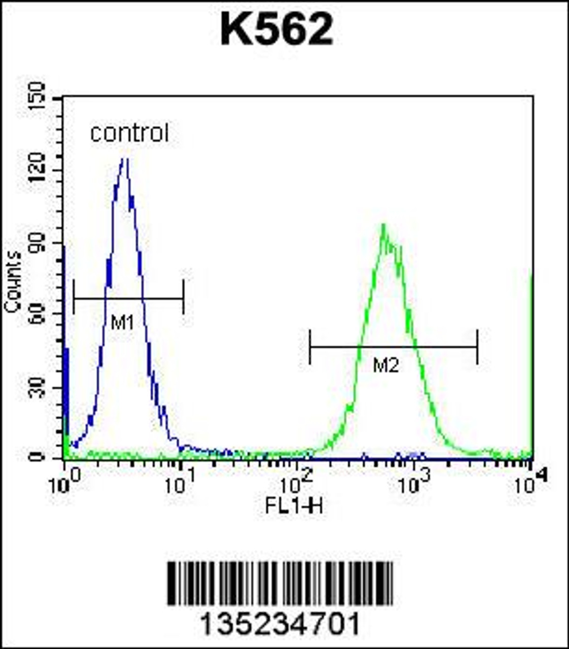 Flow cytometric analysis of K562 cells (right histogram) compared to a negative control cell (left histogram) .FITC-conjugated donkey-anti-rabbit secondary antibodies were used for the analysis.