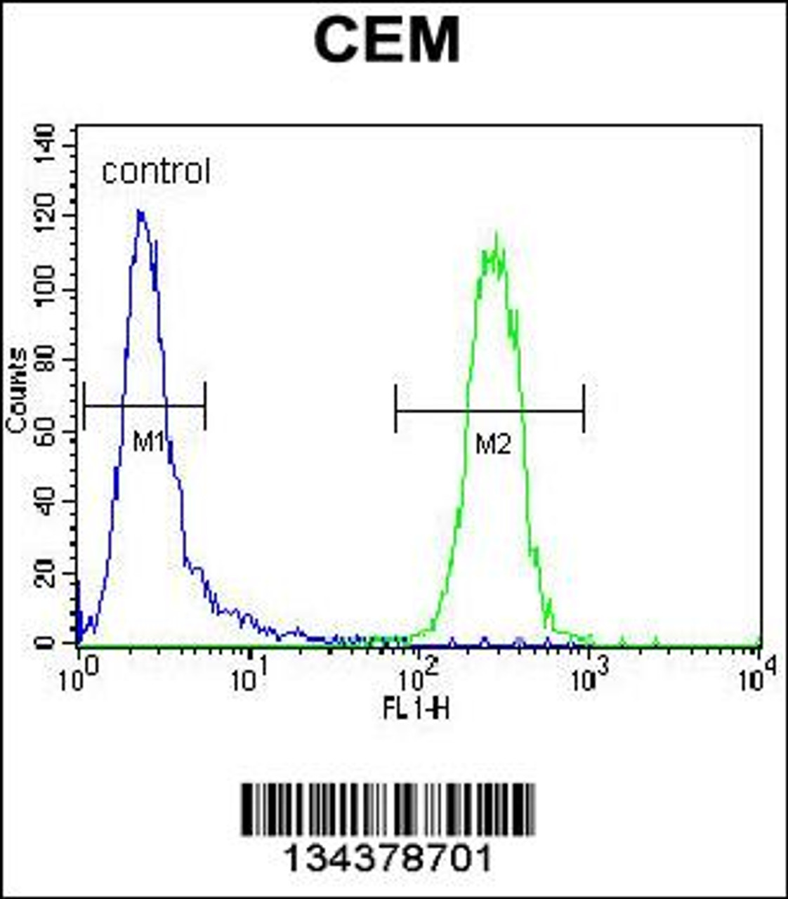 Flow cytometric analysis of CEM cells (right histogram) compared to a negative control cell (left histogram) .FITC-conjugated goat-anti-rabbit secondary antibodies were used for the analysis.