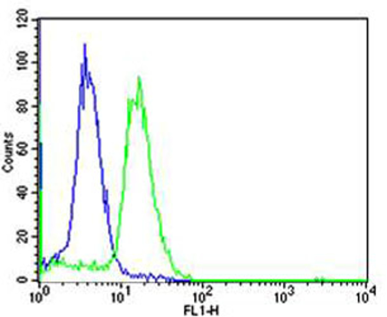 Flow cytometric analysis of Ramos cells using TCL1A Antibody (green) compared to an isotype control of rabbit IgG (blue) . Antibody was diluted at 1:25 dilution. An Alexa Fluor 488 goat anti-rabbit lgG at 1:400 dilution was used as the secondary antibody.