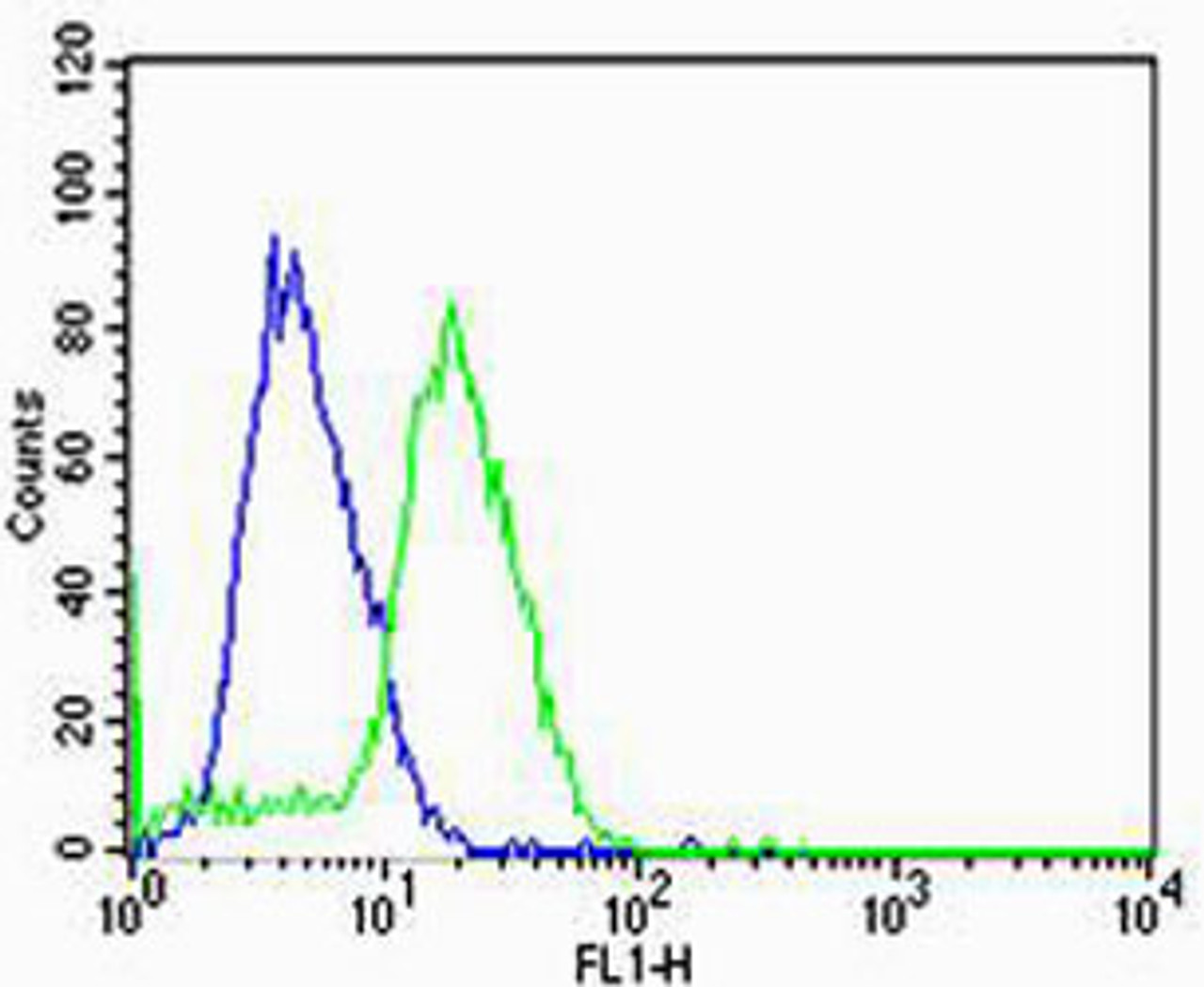 Flow cytometric analysis of U-87 MG cells using HBG2 Antibody (green) compared to an isotype control of rabbit IgG (blue) . Antibody was diluted at 1:25 dilution. An Alexa Fluor 488 goat anti-rabbit lgG at 1:400 dilution was used as the secondary antibody.