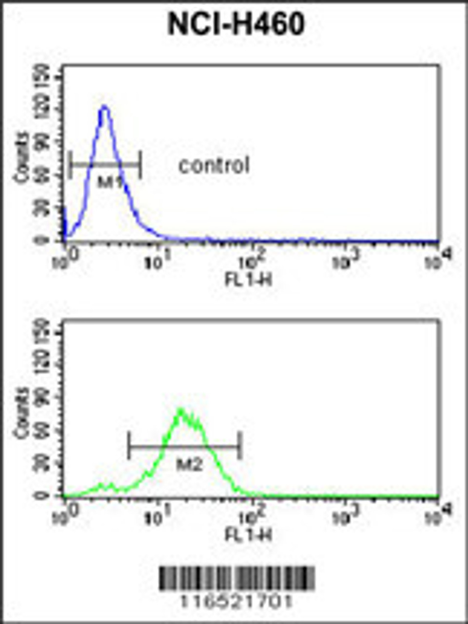 Flow cytometric analysis of NCI-H460 cells (bottom histogram) compared to a negative control cell (top histogram) .FITC-conjugated goat-anti-rabbit secondary antibodies were used for the analysis.