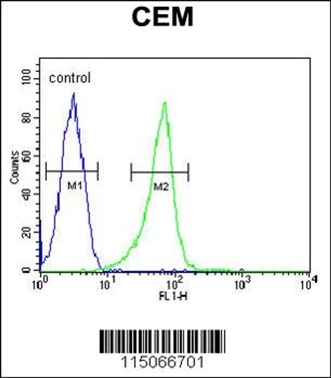 Flow cytometric analysis of CEM cells (right histogram) compared to a negative control cell (left histogram) .FITC-conjugated goat-anti-rabbit secondary antibodies were used for the analysis.