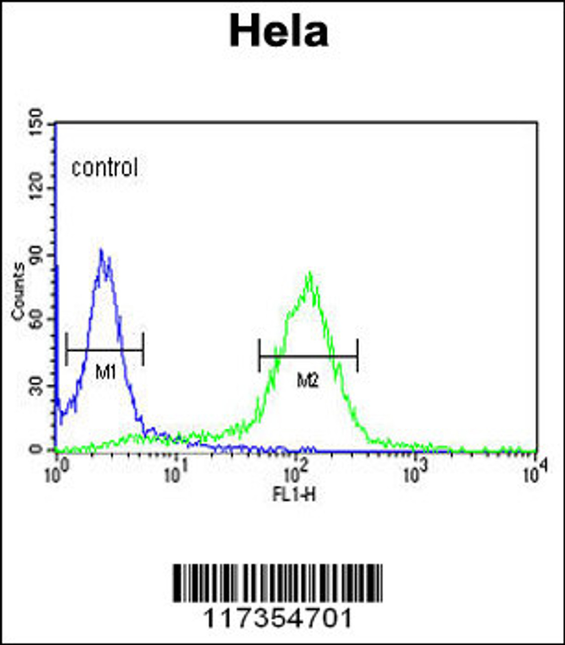 Flow cytometric analysis of Hela cells (right histogram) compared to a negative control cell (left histogram) .FITC-conjugated goat-anti-rabbit secondary antibodies were used for the analysis.