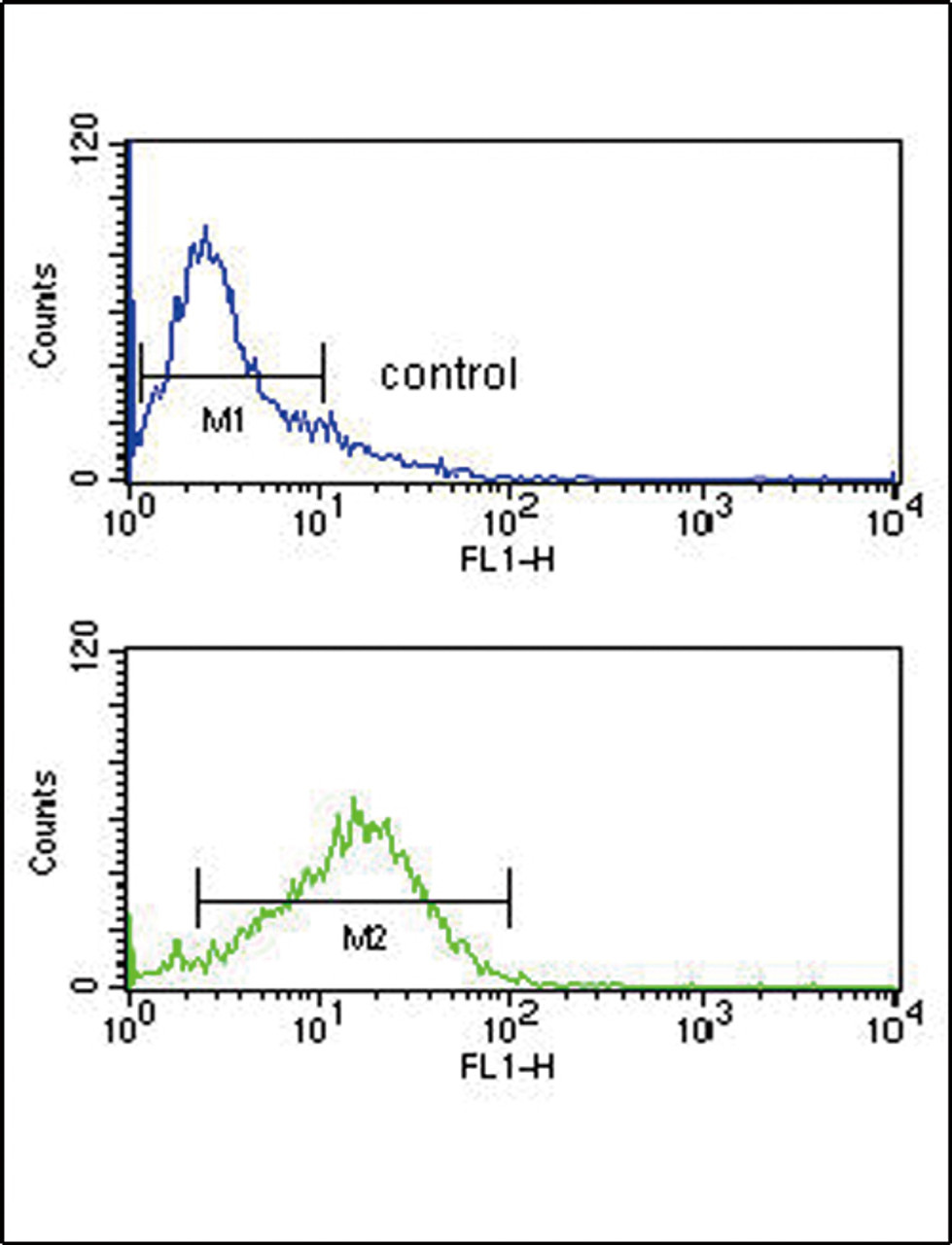 Flow cytometry analysis of Jurkat cells (bottom histogram) compared to a negative control cell (top histogram) .FITC-conjugated goat-anti-rabbit secondary antibodies were used for the analysis.