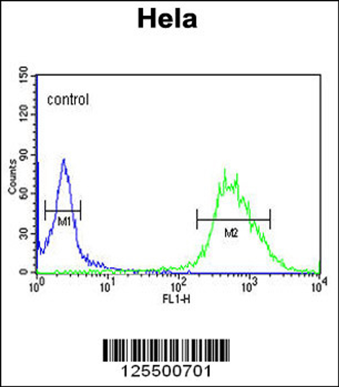 Flow cytometric analysis of Hela cells (right histogram) compared to a negative control cell (left histogram) .FITC-conjugated goat-anti-rabbit secondary antibodies were used for the analysis.