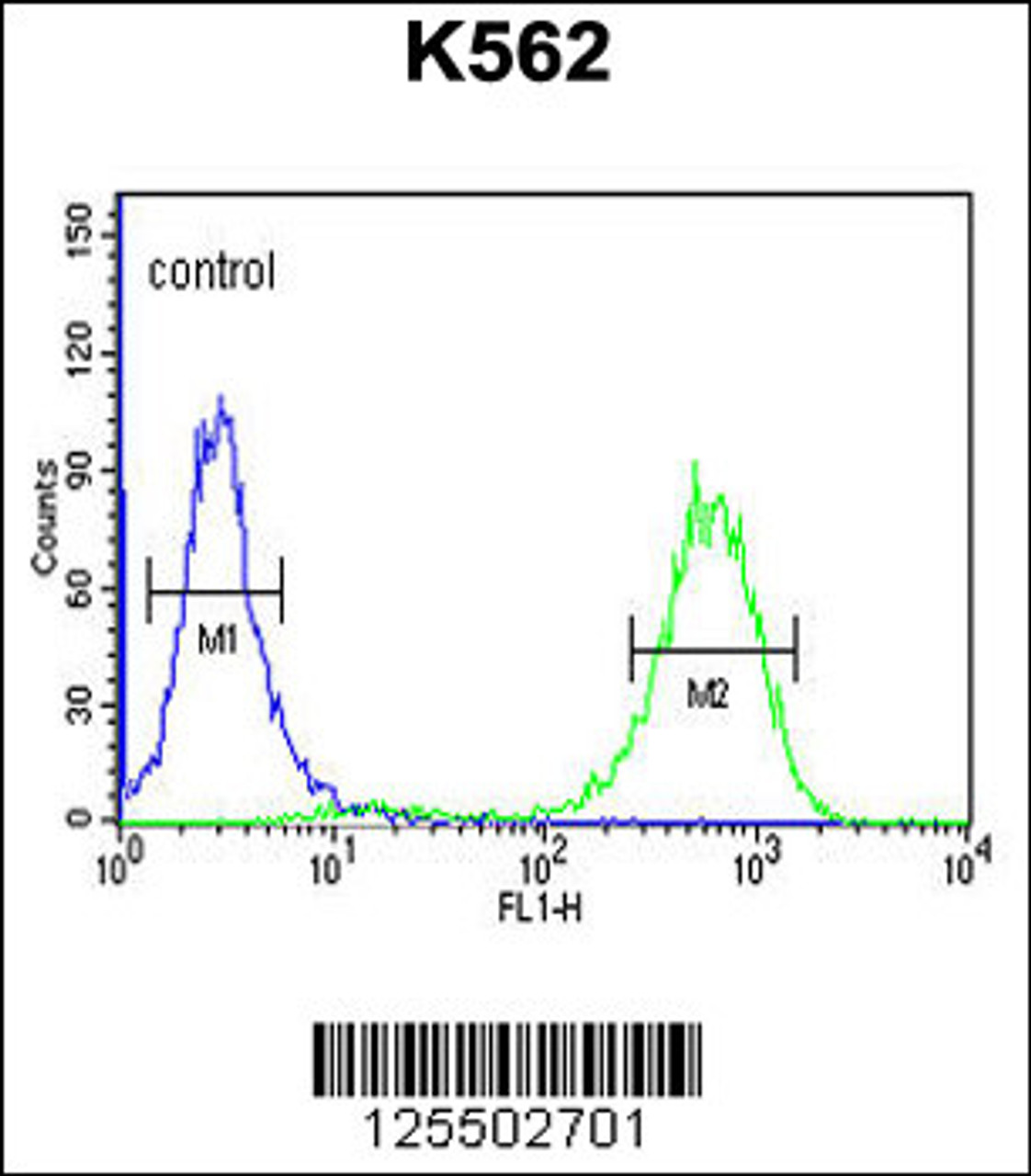 Flow cytometric analysis of K562 cells (right histogram) compared to a negative control cell (left histogram) .FITC-conjugated goat-anti-rabbit secondary antibodies were used for the analysis.