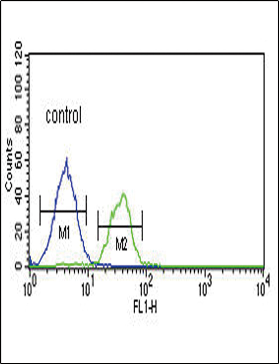 Flow cytometric analysis of K562 cells (right histogram) compared to a negative control cell (left histogram) .FITC-conjugated goat-anti-rabbit secondary antibodies were used for the analysis.