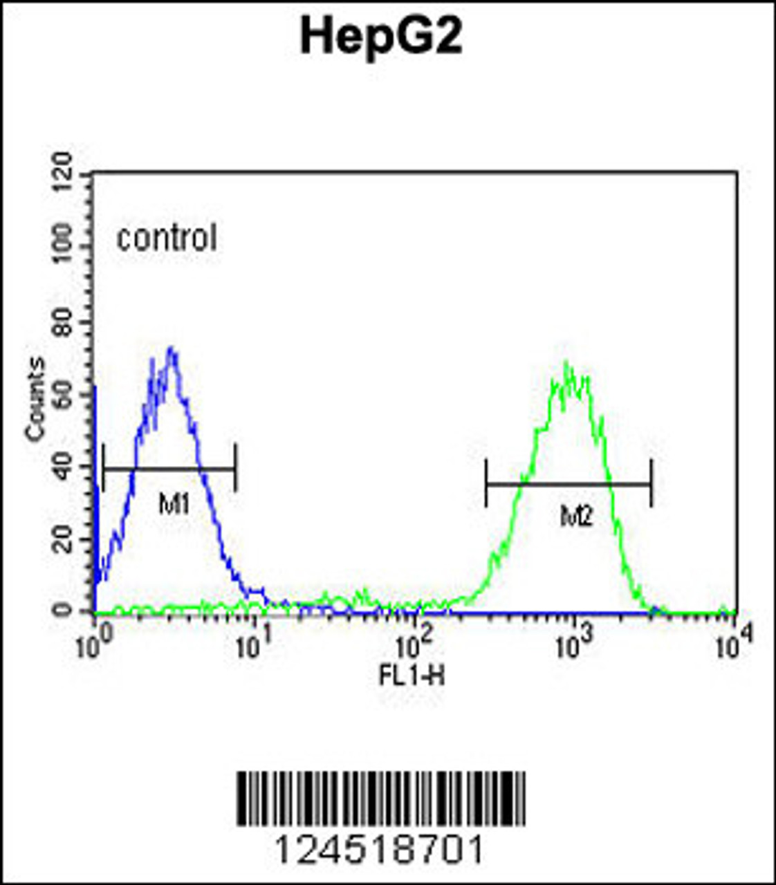 Flow cytometric analysis of HepG2 K10cells (right histogram) compared to a negative control cell (left histogram) .FITC-conjugated goat-anti-rabbit secondary antibodies were used for the analysis.