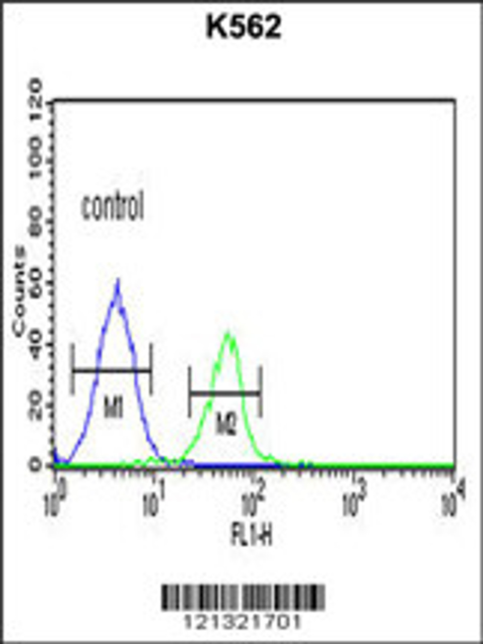 Flow cytometric analysis of K562 cells (right histogram) compared to a negative control cell (left histogram) .FITC-conjugated goat-anti-rabbit secondary antibodies were used for the analysis.