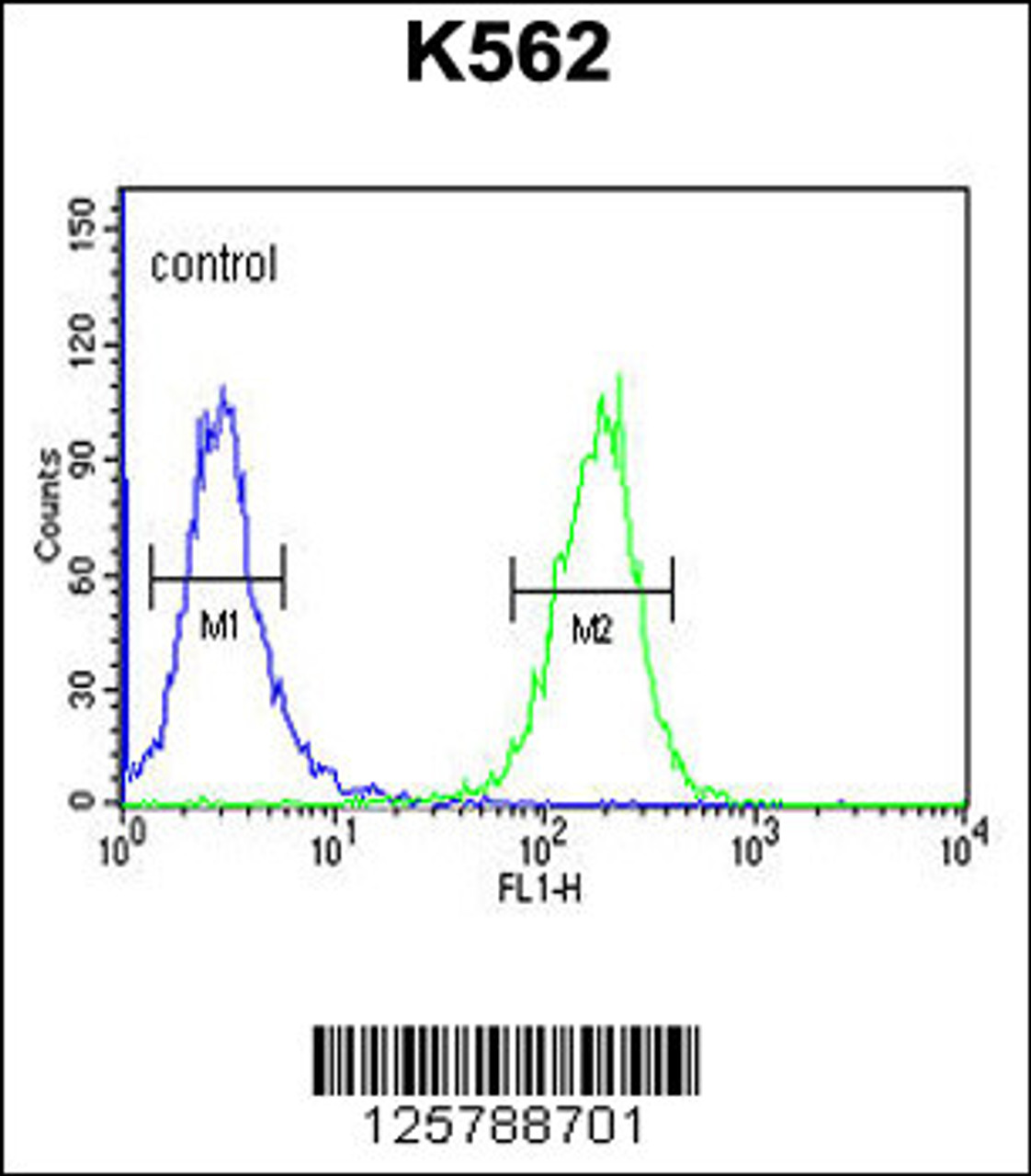 Flow cytometric analysis of K562 cells (right histogram) compared to a negative control cell (left histogram) .FITC-conjugated goat-anti-rabbit secondary antibodies were used for the analysis.