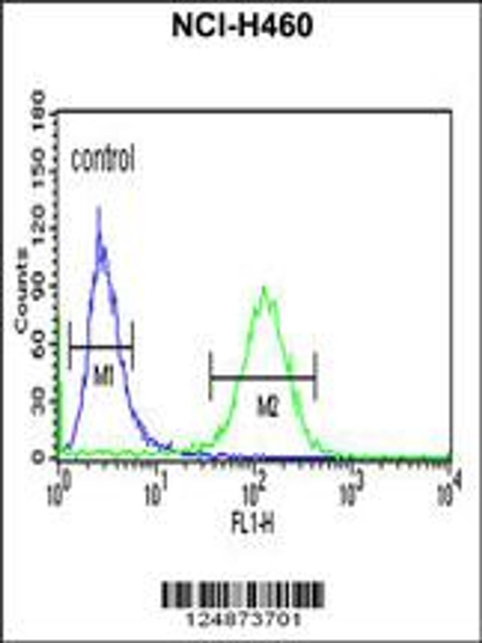 Flow cytometric analysis of NCI-H460 cells (right histogram) compared to a negative control cell (left histogram) .FITC-conjugated goat-anti-rabbit secondary antibodies were used for the analysis.