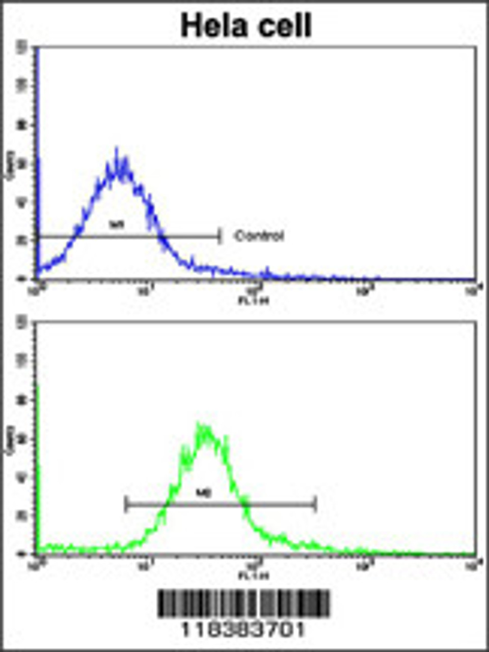 Flow cytometric analysis of hela cells using CA9 Antibody (bottom histogram) compared to a negative control cell (top histogram) . FITC-conjugated goat-anti-rabbit secondary antibodies were used for the analysis.