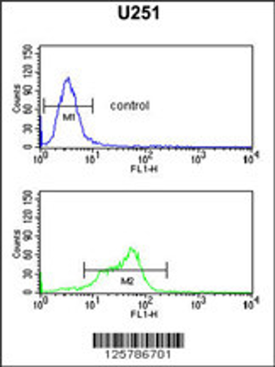 Flow cytometric analysis of U251 cells (bottom histogram) compared to a negative control (top histogram) .FITC-conjugated goat-anti-rabbit secondary antibodies were used for the analysis.