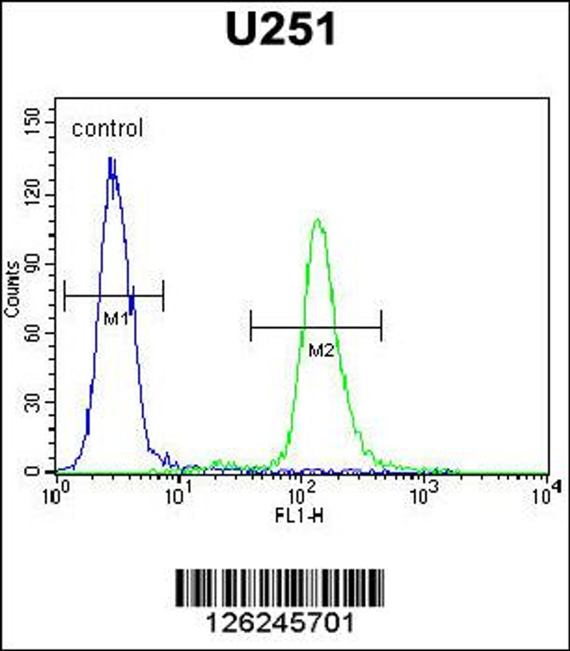 Flow cytometric analysis of U251 cells (right histogram) compared to a negative control cell (left histogram) .FITC-conjugated goat-anti-rabbit secondary antibodies were used for the analysis.