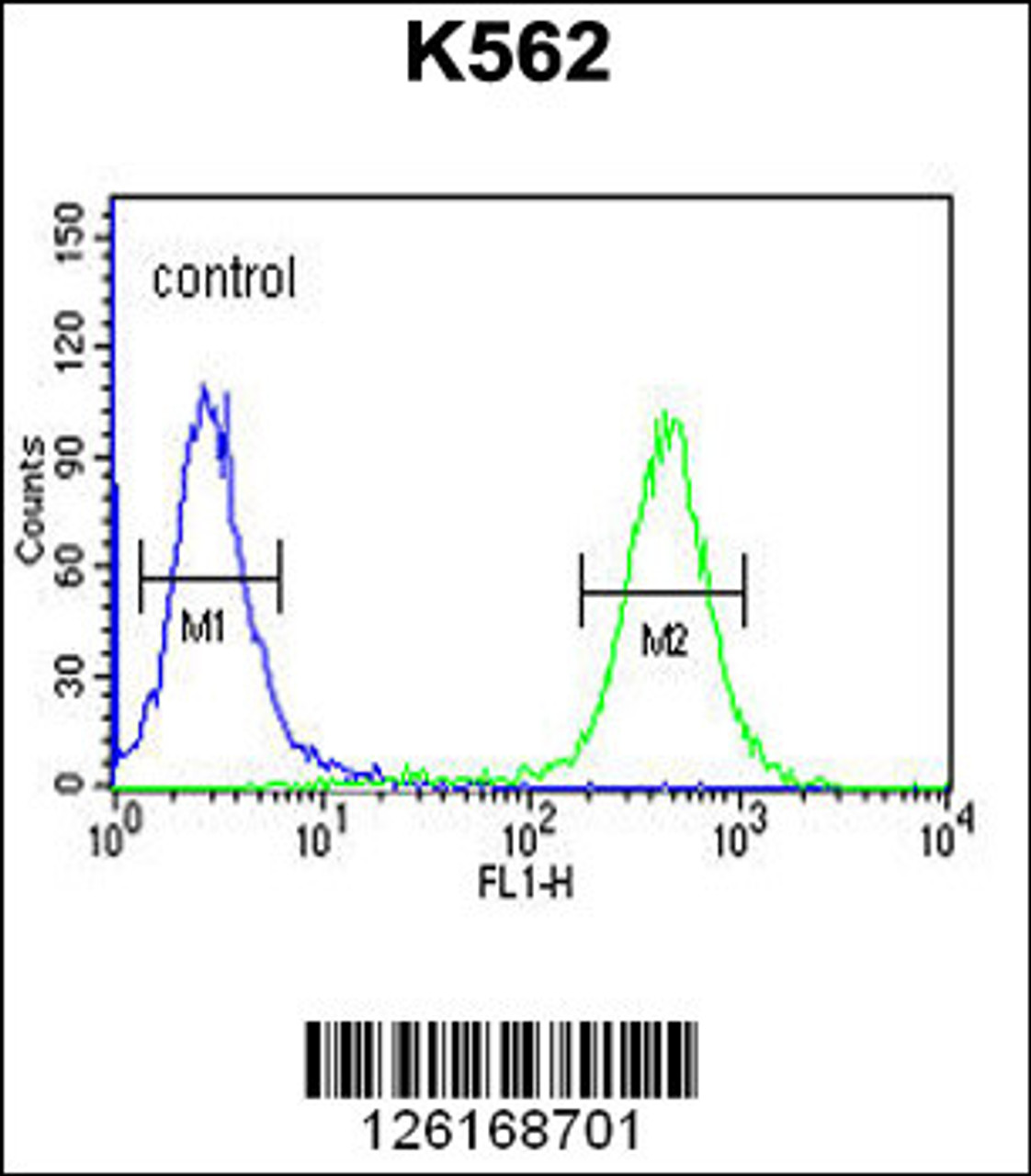 Flow cytometric analysis of K562 cells (right histogram) compared to a negative control cell (left histogram) .FITC-conjugated goat-anti-rabbit secondary antibodies were used for the analysis.