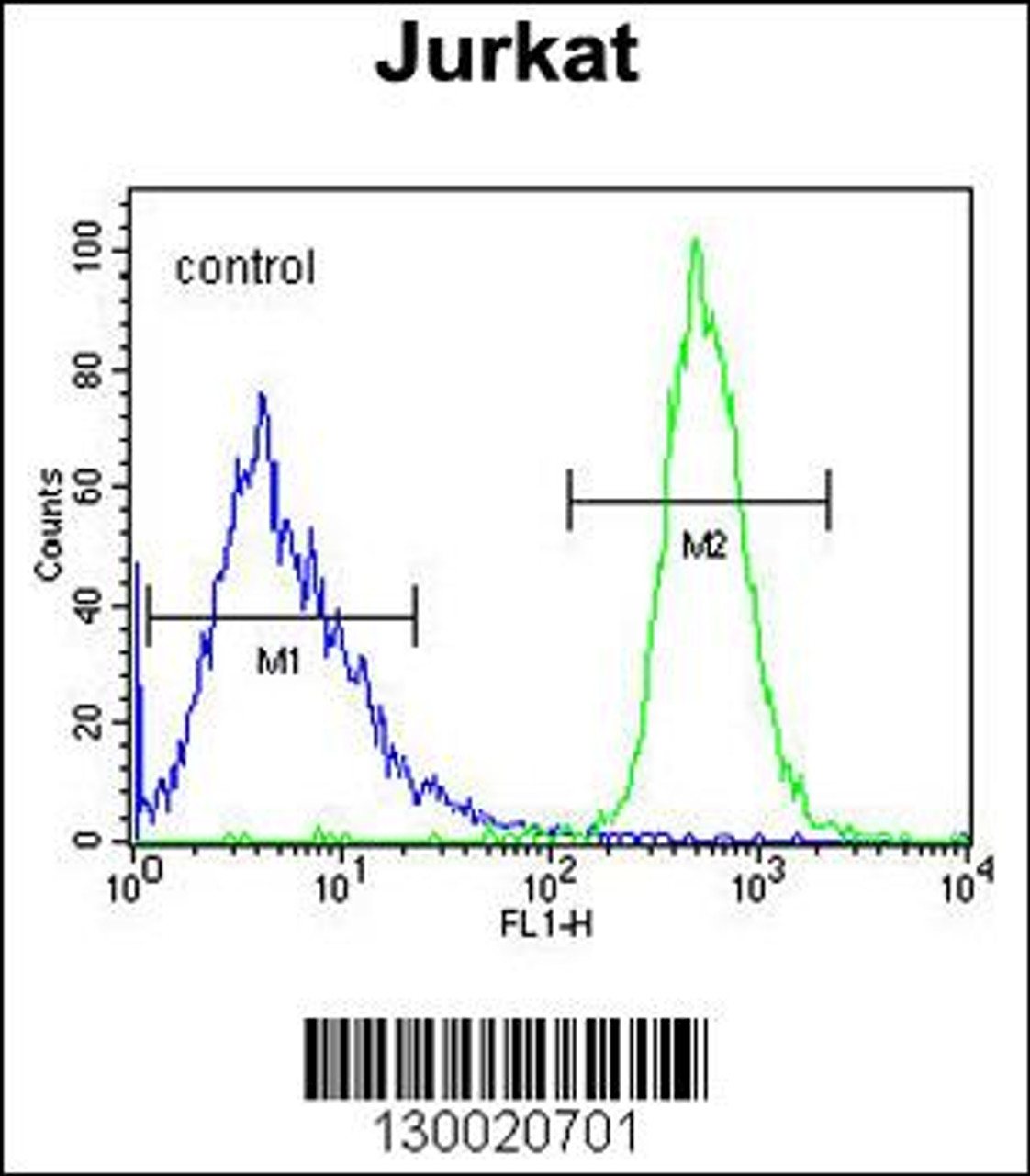 Flow cytometric analysis of Jurkat cells (right histogram) compared to a negative control cell (left histogram) .FITC-conjugated goat-anti-rabbit secondary antibodies were used for the analysis.