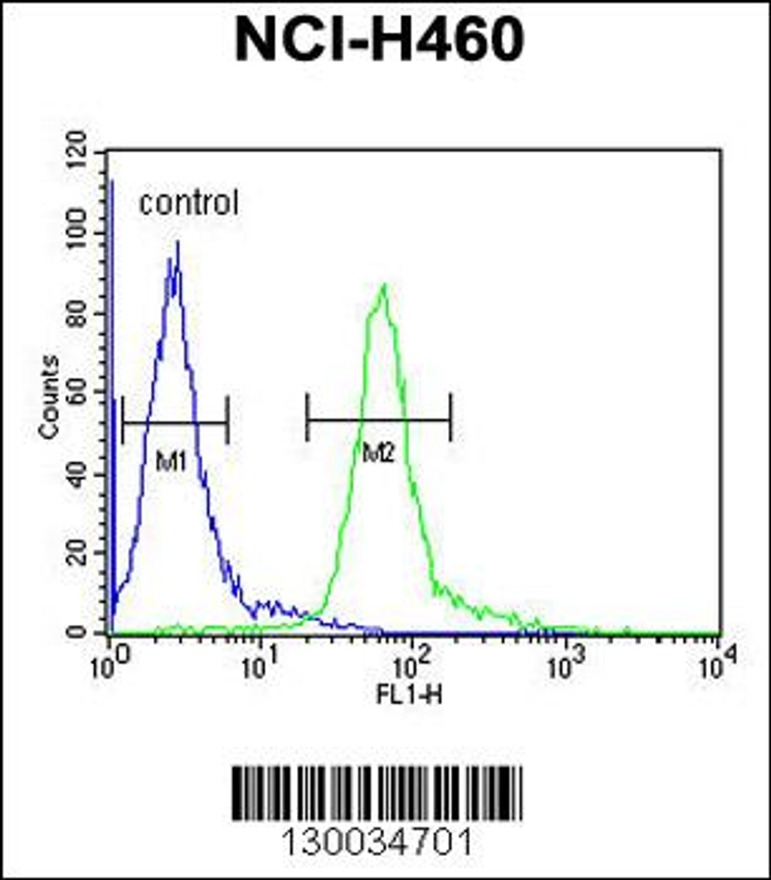 Flow cytometric analysis of NCI-H460 cells (right histogram) compared to a negative control cell (left histogram) .FITC-conjugated goat-anti-rabbit secondary antibodies were used for the analysis.