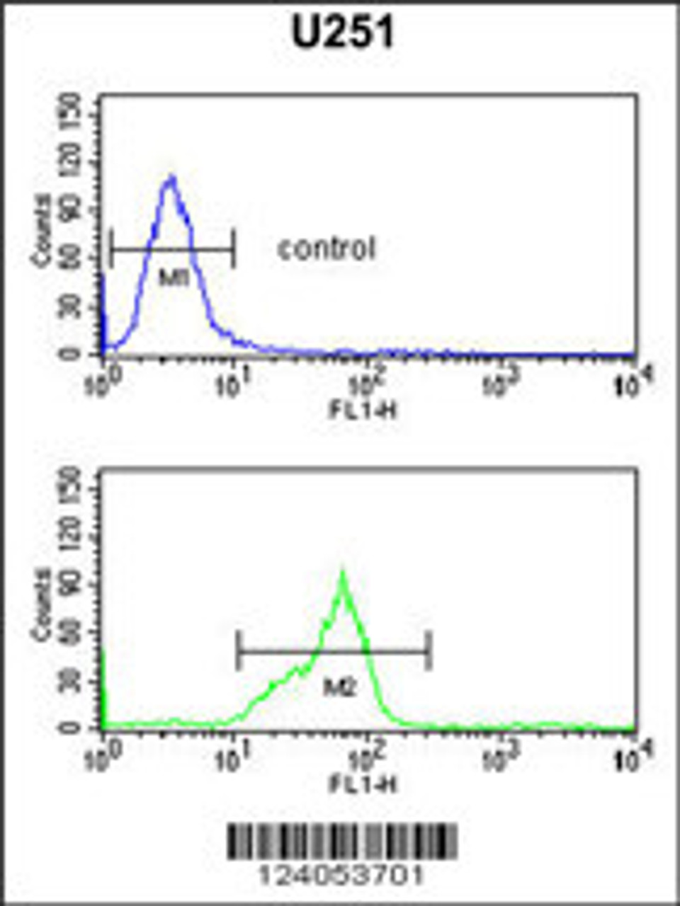 Flow cytometric analysis of U251 cells (bottom histogram) compared to a negative control cell (top histogram) .FITC-conjugated goat-anti-rabbit secondary antibodies were used for the analysis.