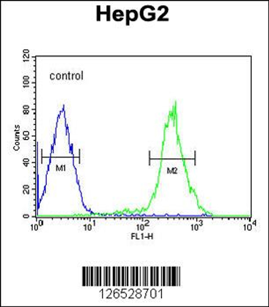 Flow cytometric analysis of HepG2 cells (right histogram) compared to a negative control cell (left histogram) .FITC-conjugated goat-anti-rabbit secondary antibodies were used for the analysis.