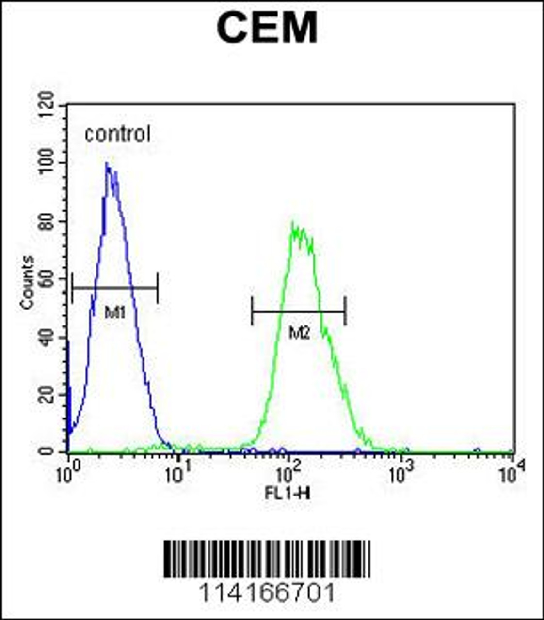 Flow cytometric analysis of CEM cells (right histogram) compared to a negative control cell (left histogram) .FITC-conjugated goat-anti-rabbit secondary antibodies were used for the analysis.