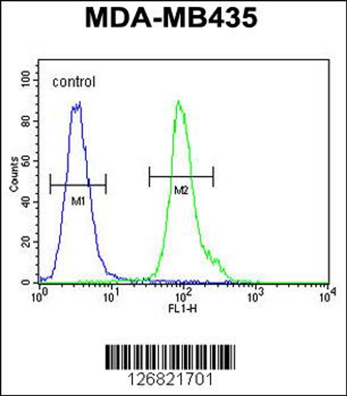Flow cytometric analysis of MDA-MB435 cells (right histogram) compared to a negative control cell (left histogram) .FITC-conjugated goat-anti-rabbit secondary antibodies were used for the analysis.