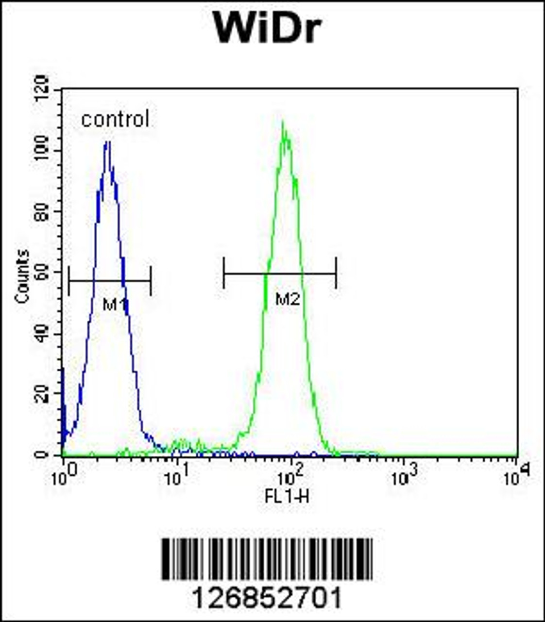 Flow cytometric analysis of WiDr cells (right histogram) compared to a negative control cell (left histogram) .FITC-conjugated goat-anti-rabbit secondary antibodies were used for the analysis.