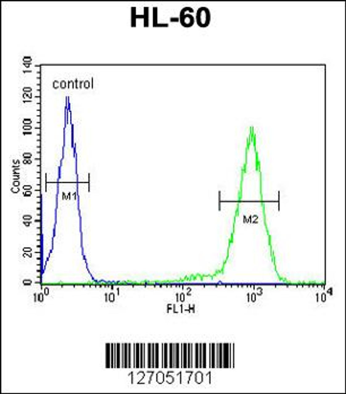 Flow cytometric analysis of HL-60 cells (right histogram) compared to a negative control cell (left histogram) .FITC-conjugated goat-anti-rabbit secondary antibodies were used for the analysis.