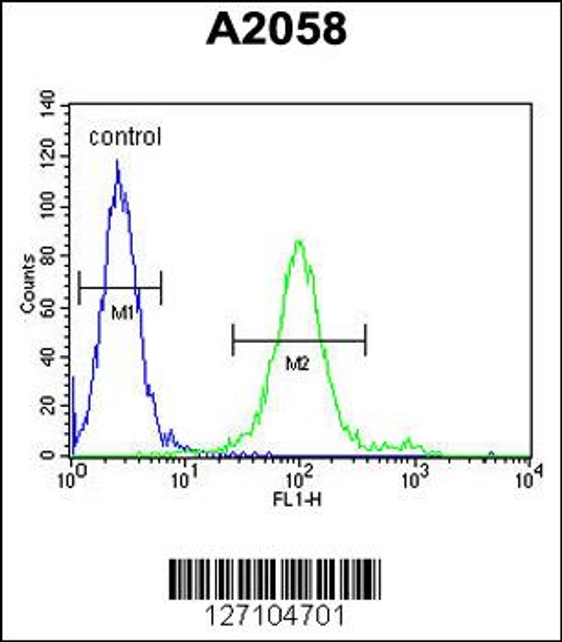 Flow cytometric analysis of A2058 cells (right histogram) compared to a negative control cell (left histogram) .FITC-conjugated goat-anti-rabbit secondary antibodies were used for the analysis.