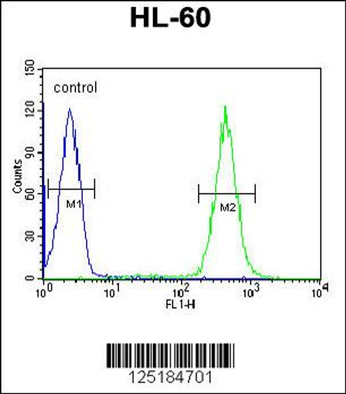 Flow cytometric analysis of HL-60 cells (right histogram) compared to a negative control cell (left histogram) .FITC-conjugated goat-anti-rabbit secondary antibodies were used for the analysis.