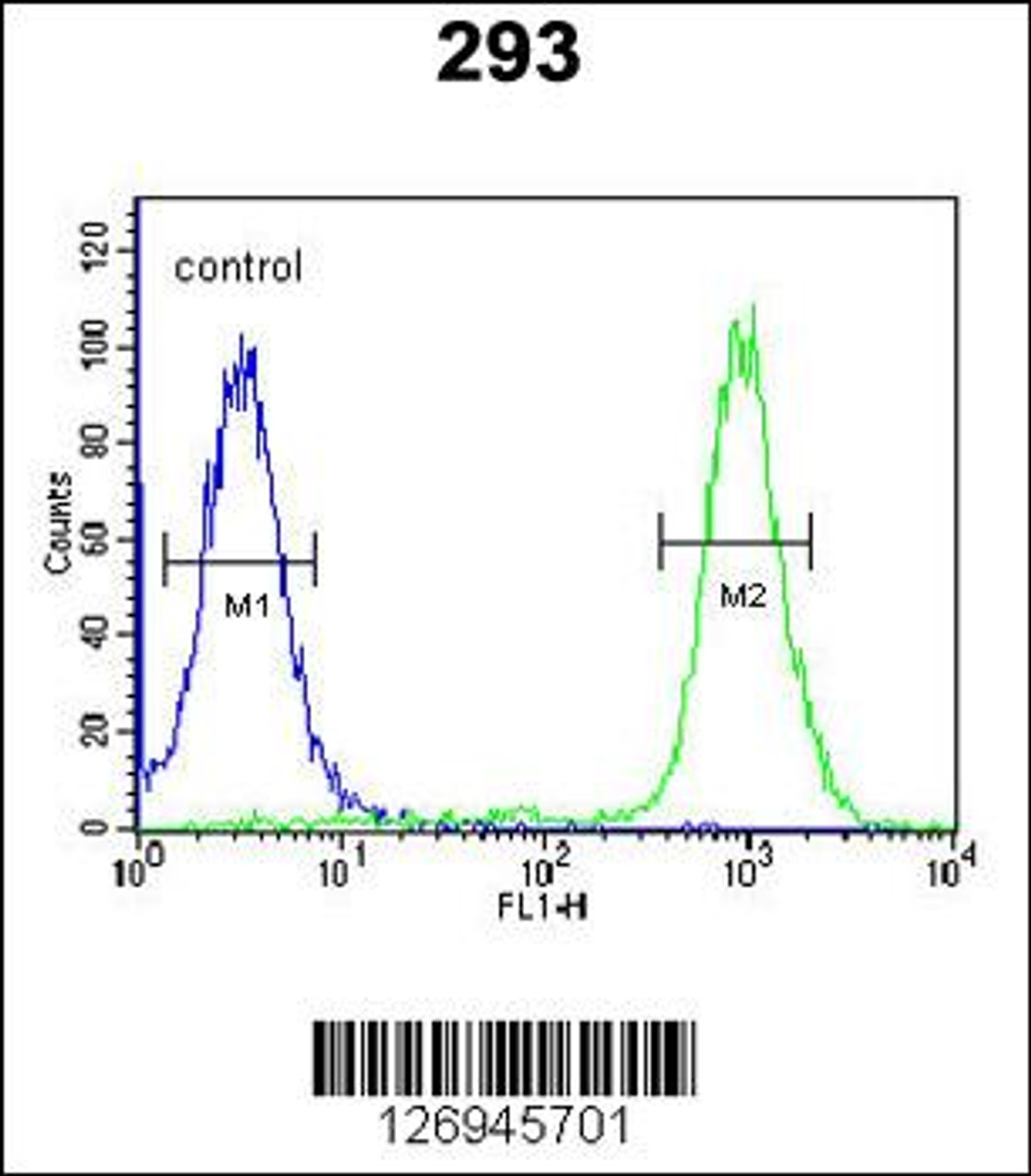 Flow cytometric analysis of 293 cells (right histogram) compared to a negative control cell (left histogram) .FITC-conjugated goat-anti-rabbit secondary antibodies were used for the analysis.