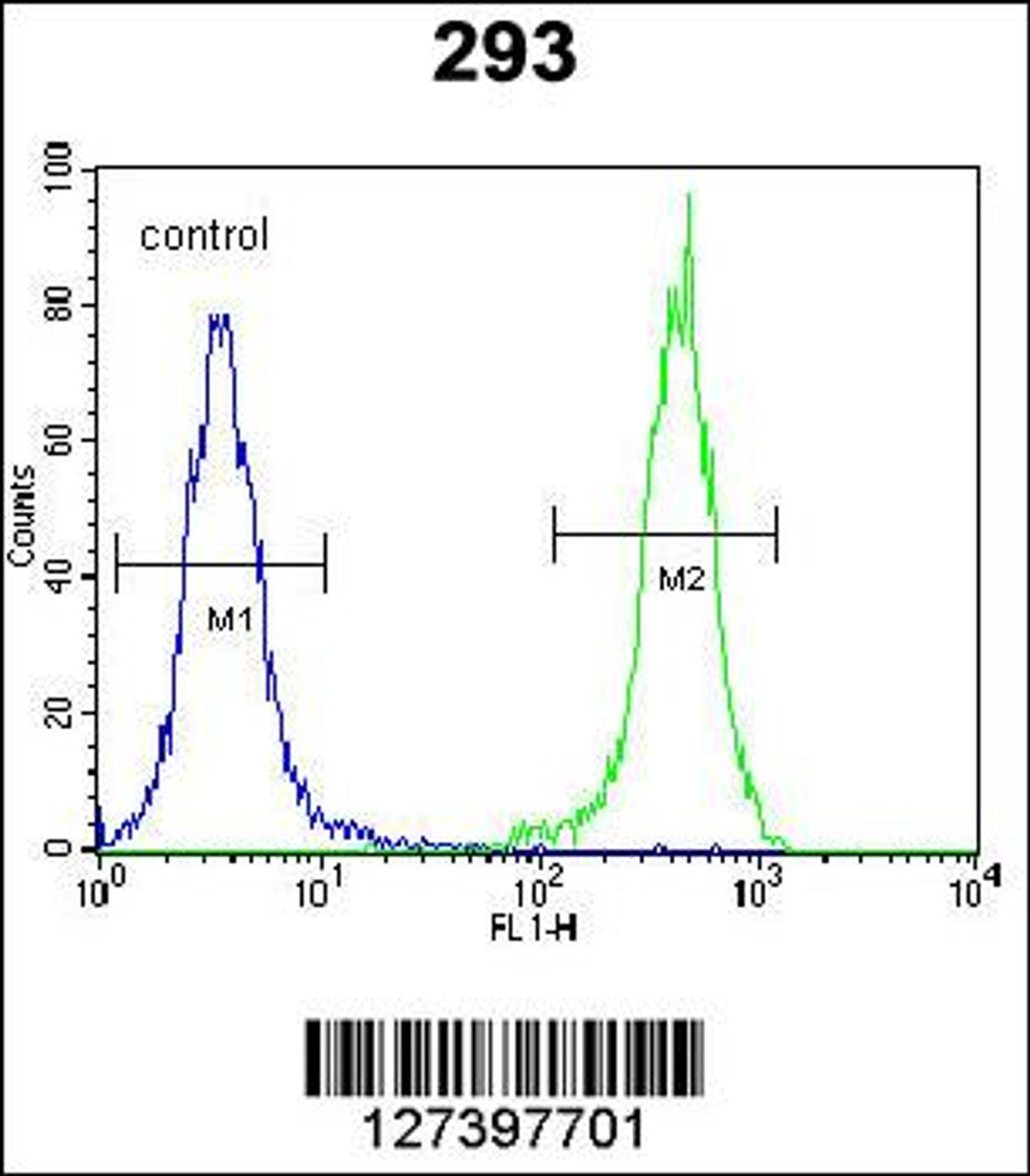 Flow cytometric analysis of 293 cells (right histogram) compared to a negative control cell (left histogram) .FITC-conjugated goat-anti-rabbit secondary antibodies were used for the analysis.