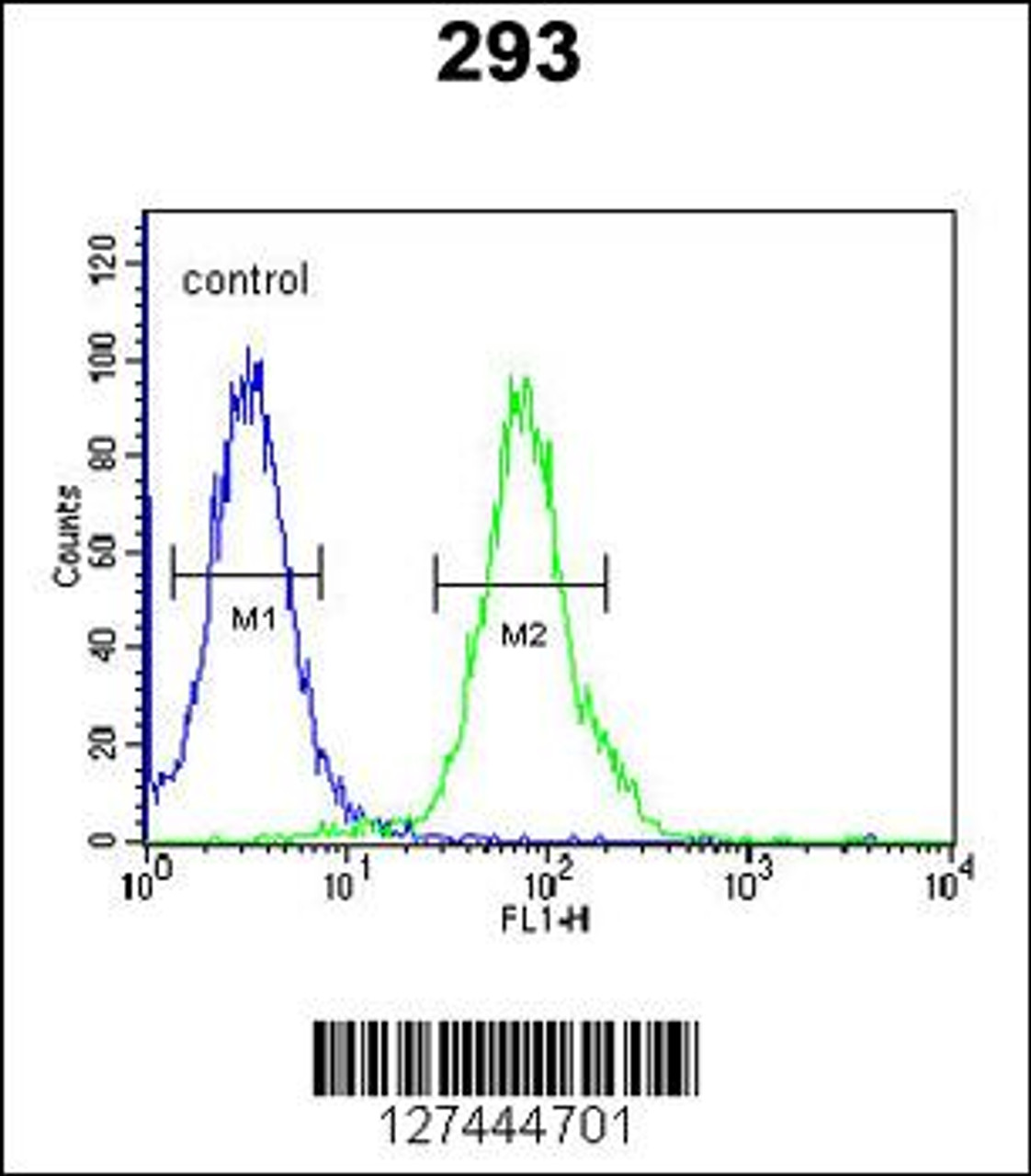 Flow cytometric analysis of 293 cells (right histogram) compared to a negative control cell (left histogram) .FITC-conjugated goat-anti-rabbit secondary antibodies were used for the analysis.