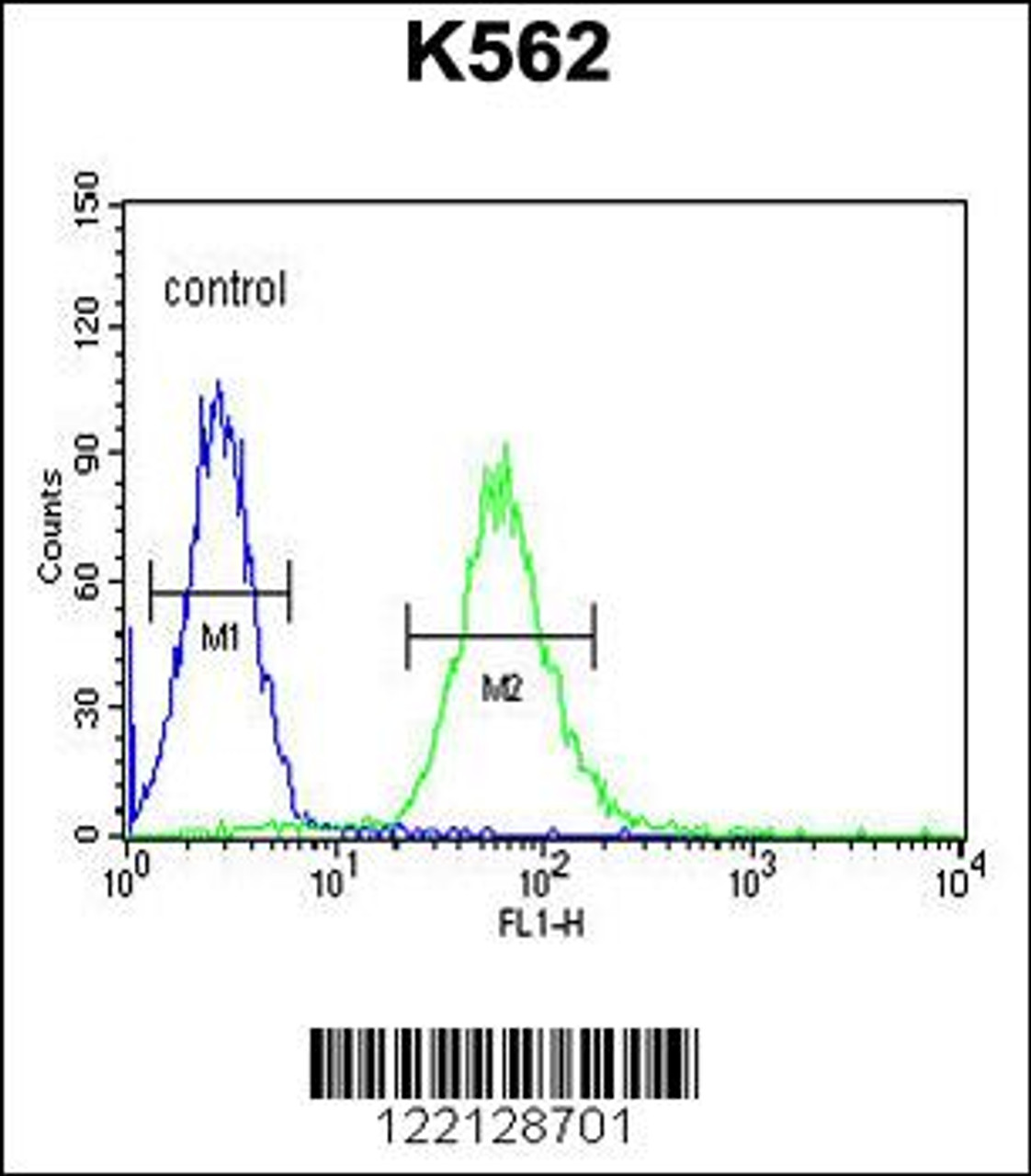 Flow cytometric analysis of K562 cells (right histogram) compared to a negative control cell (left histogram) .FITC-conjugated goat-anti-rabbit secondary antibodies were used for the analysis.