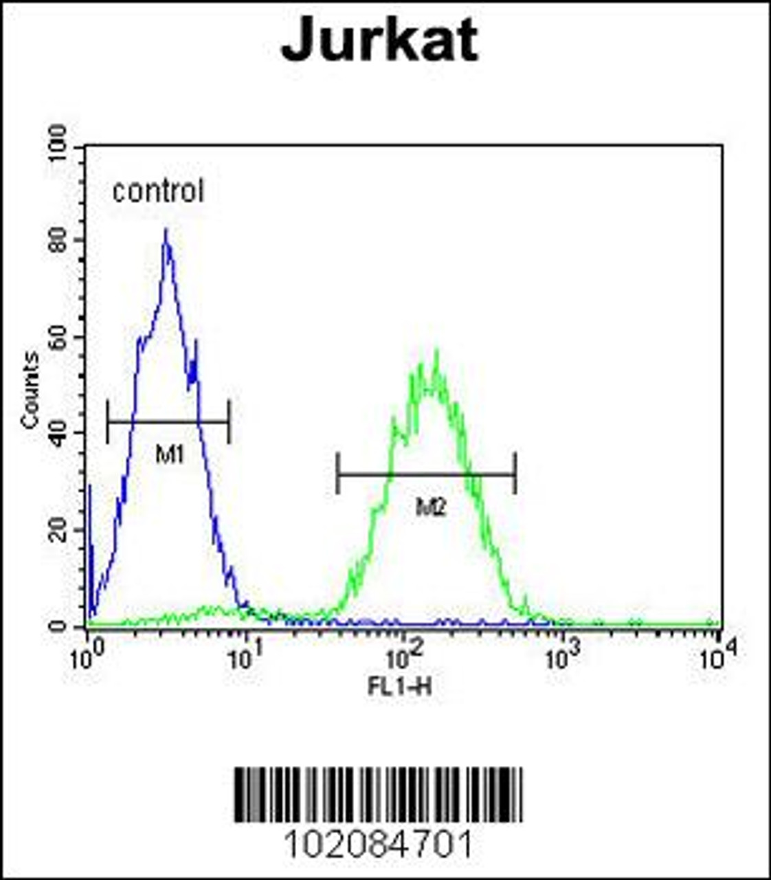 Flow cytometric analysis of Jurkat cells (right histogram) compared to a negative control cell (left histogram) .FITC-conjugated goat-anti-rabbit secondary antibodies were used for the analysis.