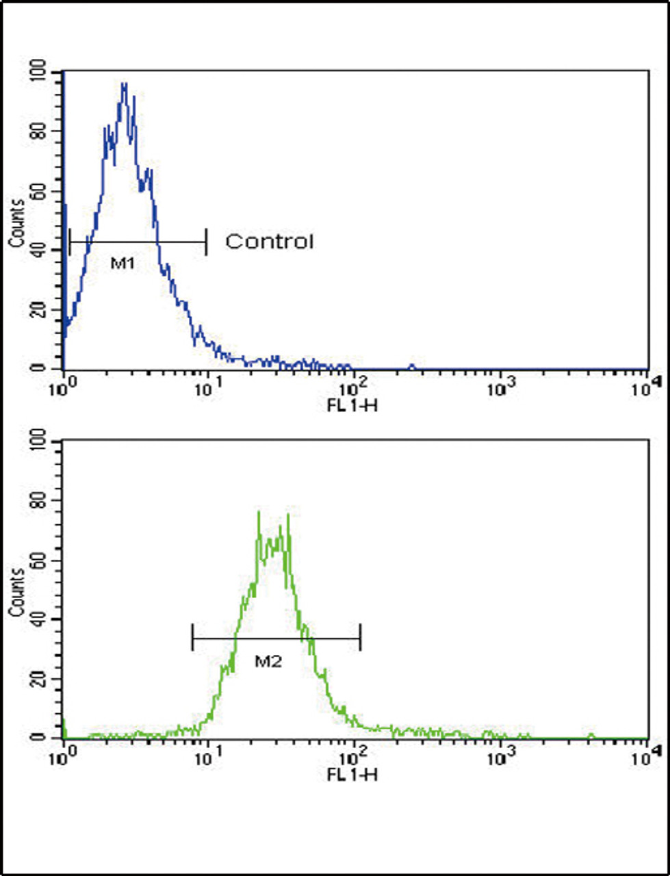 Flow cytometric analysis of NCI-H460 cells using NRG1 Antibody (bottom histogram) compared to a negative control cell (top histogram) . FITC-conjugated goat-anti-rabbit secondary antibodies were used for the analysis.